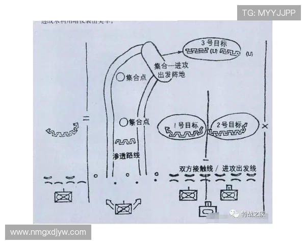 上海足球队边路渗透战术革新探讨与未来发展展望